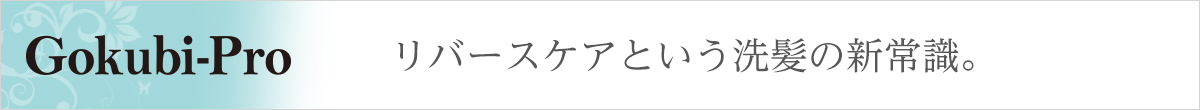 GOKUBI PRO リバースケアという洗髪の新常識。
